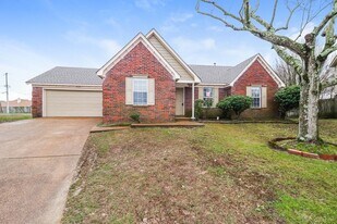 5536 Terri Lynn Cove in Memphis, TN - Building Photo