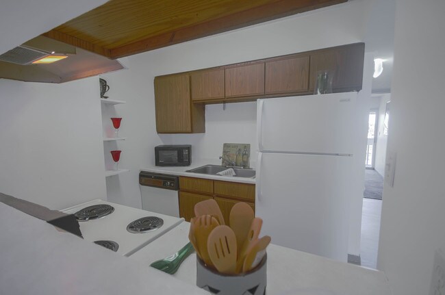 107 E Springfield in Champaign, IL - Foto de edificio - Floor Plan