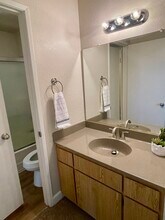 1000 Sibley Apt Homes in Folsom, CA - Building Photo - Building Photo