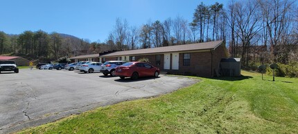 Buffalo View Apartments in Johnson City, TN - Building Photo - Building Photo