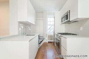 19A Forest St in Cambridge, MA - Building Photo