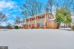 6715 Grey Fox Dr in Springfield, VA - Building Photo