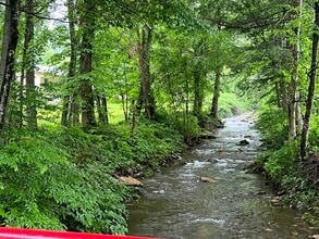 150 Scenic Apt Rd in Unicoi, TN - Building Photo - Building Photo