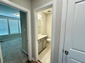 29406 Amber Pne Ct in Katy, TX - Building Photo - Building Photo