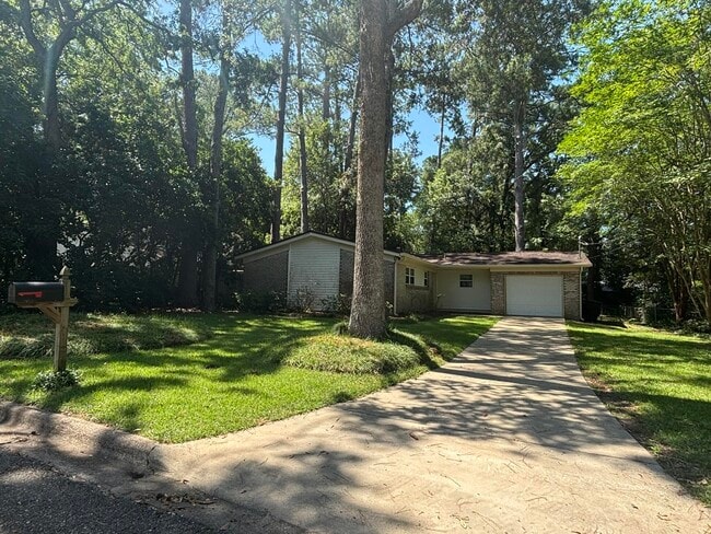 property at 2003 Travis Cir