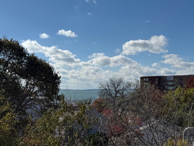 14 Amity St, Unit 2 in Lynn, MA - Building Photo - Building Photo