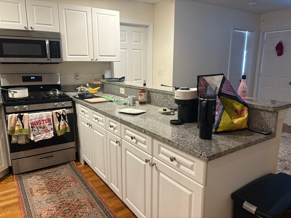 56 Egmont St, Unit 4 in Brookline, MA - Building Photo