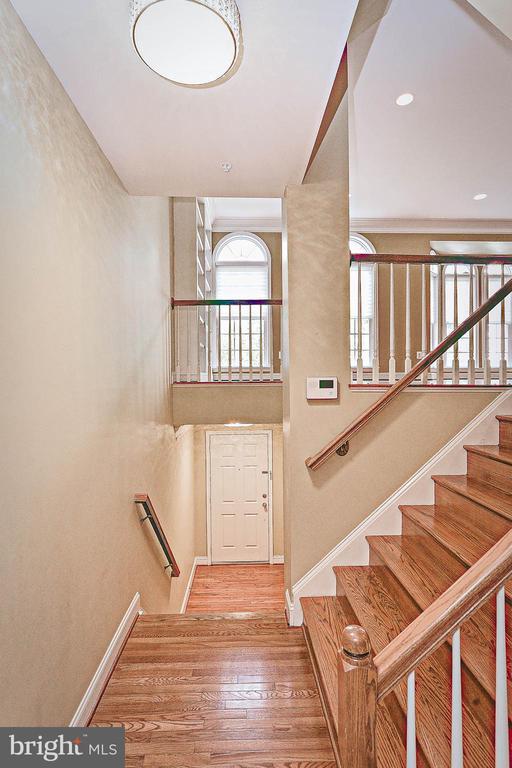 12035 Treeline Way in Rockville, MD - Building Photo - Building Photo