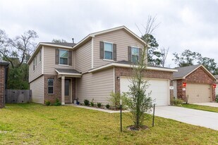 27646 Mesabe Dr in Magnolia, TX - Building Photo