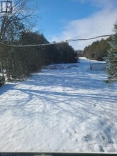 229 Angeline St S in Kawartha Lakes, ON - Building Photo - Building Photo