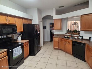 15902 Cedar Elm Terrace in Land O Lakes, FL - Building Photo - Building Photo