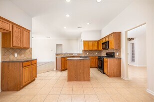 17719 Dusty Patty Ct in Richmond, TX - Building Photo