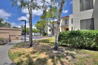 Cambridge Court Townhomes in Fremont, CA - Building Photo - Building Photo