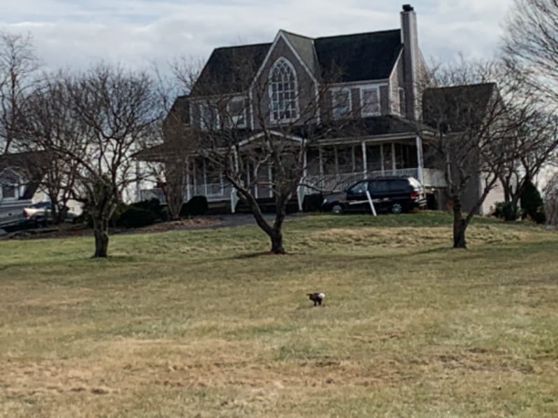 8914 Watkins Rd Photo