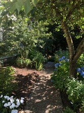 1300 Stonecress Ln in Bainbridge Island, WA - Building Photo - Building Photo