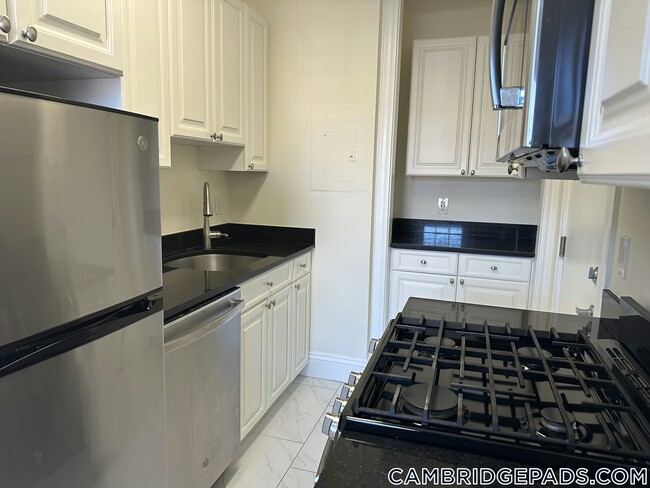 24 Chauncy St in Cambridge, MA - Building Photo - Building Photo