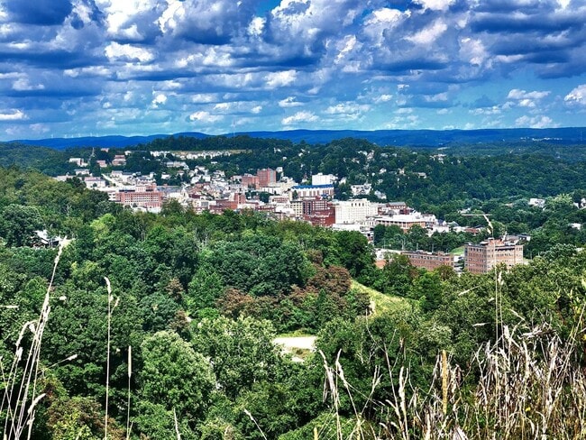 249 Birds Eye View Dr in Morgantown, WV - Building Photo - Building Photo
