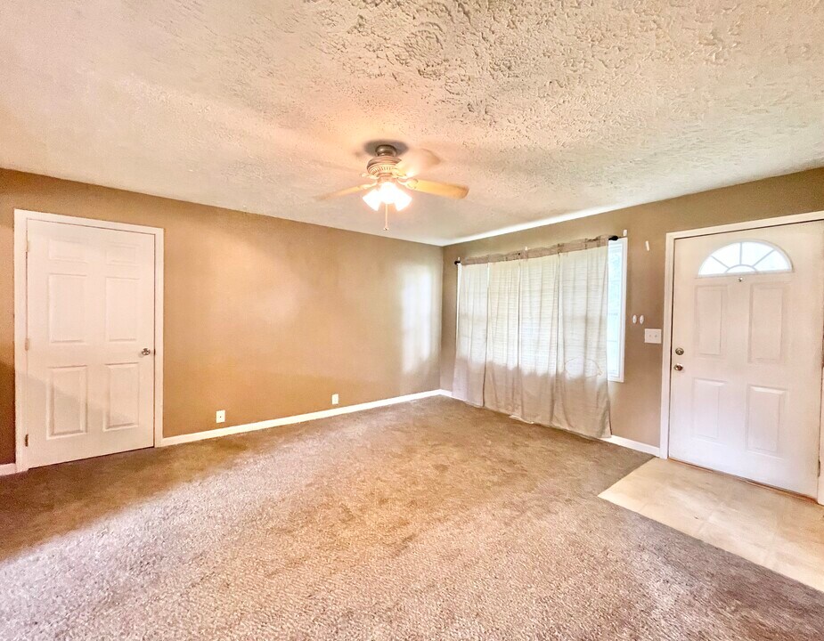 407 E Lincoln St, Unit 1 in De Soto, IL - Building Photo