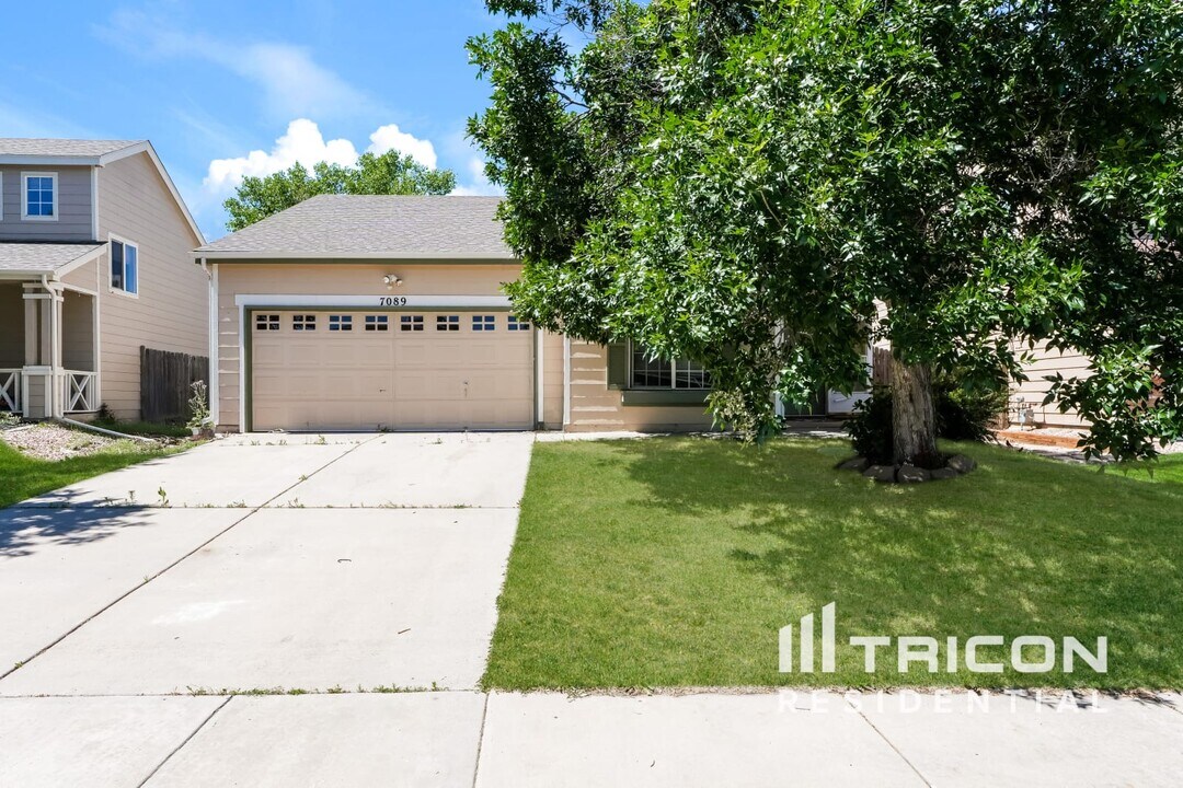 7089 Cattle Dr in Colorado Springs, CO - Building Photo