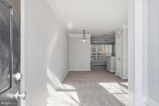 5916 Terrapin Pl in Alexandria, VA - Building Photo - Building Photo