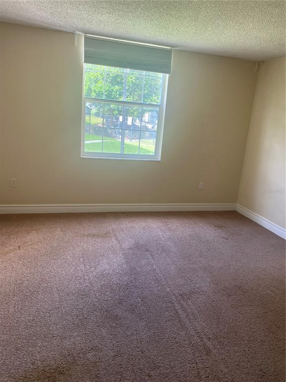 809 Russell Ln in Brandon, FL - Building Photo - Building Photo