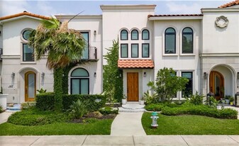 919 Lucia Dr in Mission, TX - Building Photo