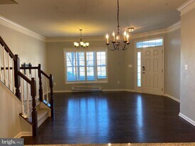 43075 Thoroughfare Gap Terrace in Ashburn, VA - Building Photo