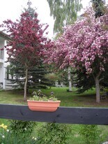 700 W 47th Ave, Unit #2 in Anchorage, AK - Building Photo