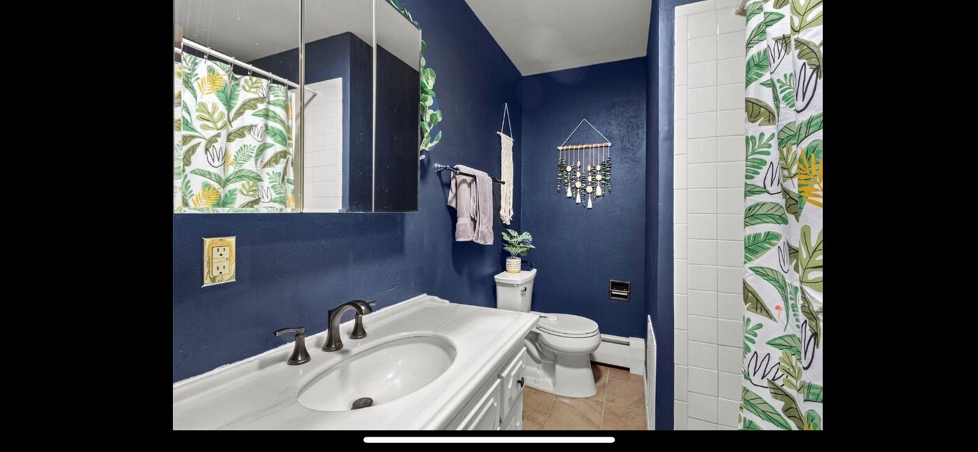 678 Deer Path Rd in Dillon, CO - Building Photo