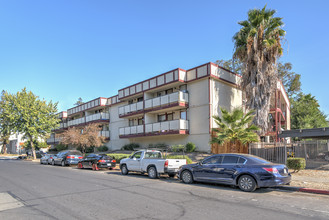 Clayton Pines Apartments in Concord, CA - Building Photo - Building Photo