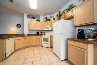 143 Plumoso Loop in Davenport, FL - Building Photo - Building Photo