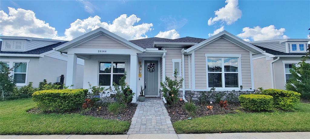 28564 Sweet Persimmon Dr in Wesley Chapel, FL - Foto de edificio