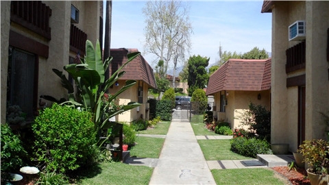 Pine Street Apartments in Upland, CA - Building Photo - Building Photo