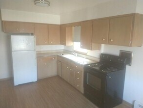 510 S NW Hwy, Unit 1 in Park Ridge, IL - Building Photo - Building Photo