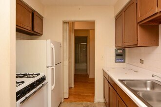 515 W Briar Pl in Chicago, IL - Building Photo - Building Photo