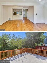 2943 Shepperton Terrace in Silver Spring, MD - Building Photo
