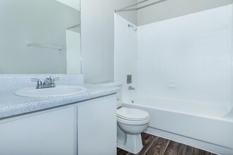 University Cove Apartments in San Antonio, TX - Building Photo - Building Photo