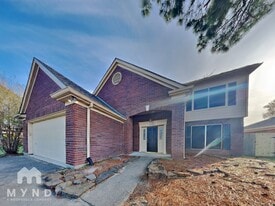 18163 Holly Green Dr in Houston, TX - Building Photo