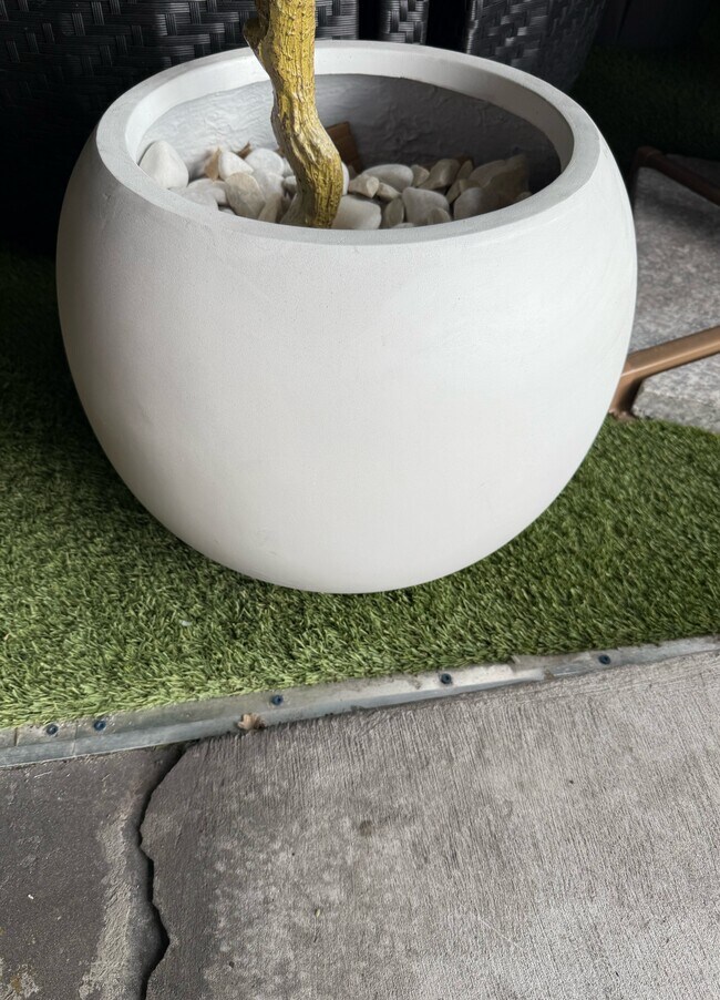 property at 7115 N Tampania Ave