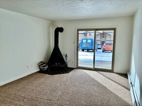 763 Straight Creek Dr in Dillon, CO - Building Photo - Building Photo