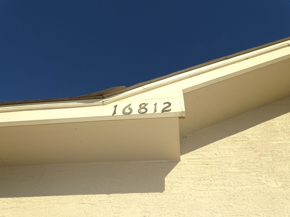 16812 Dancing Ava in Selma, TX - Building Photo