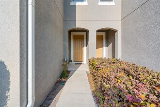 14124 Damselfly Dr in Citrus Park, FL - Building Photo - Building Photo