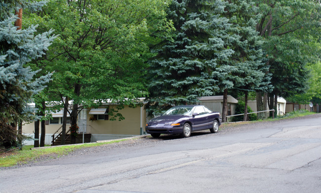 White Birch Village in Coal Township, PA - Building Photo - Building Photo