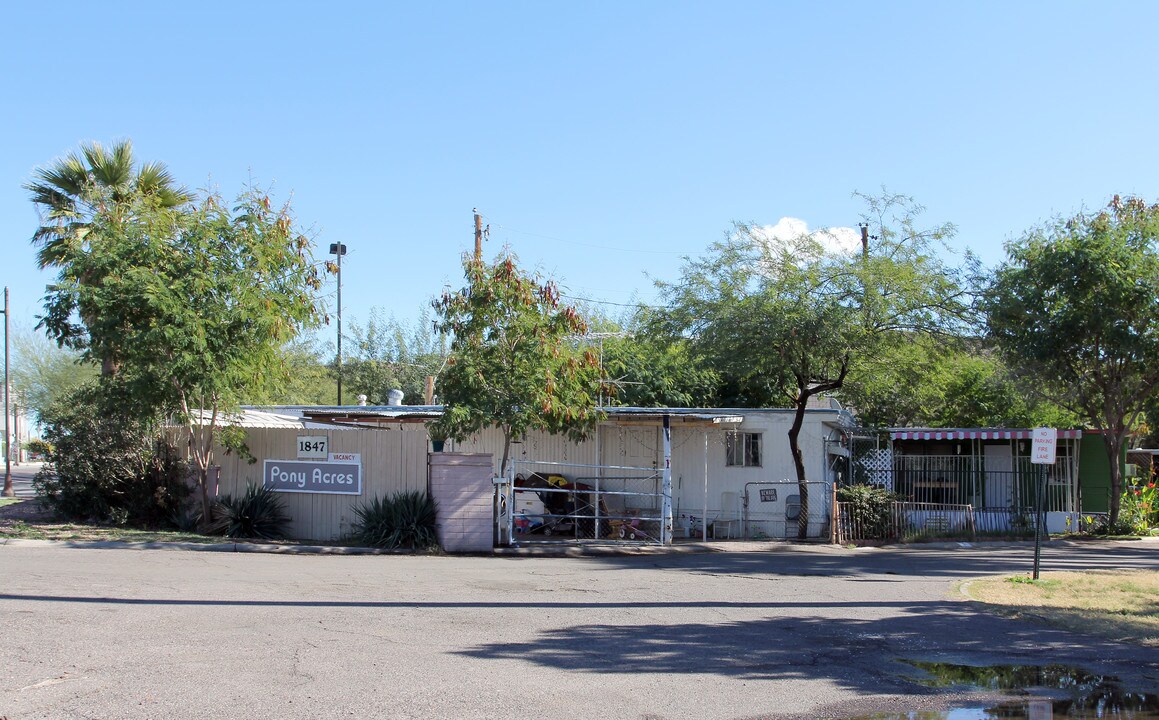 Pony Acres Mobile Home Park in Tempe, AZ - Building Photo