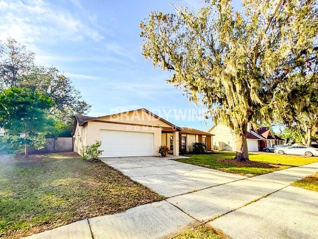 734 Sandy Creek Dr in Brandon, FL - Building Photo - Building Photo