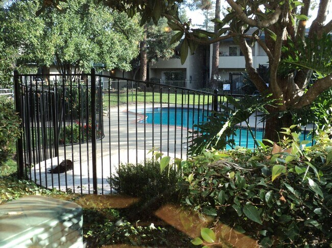 1731 Ellis St in Concord, CA - Building Photo - Building Photo