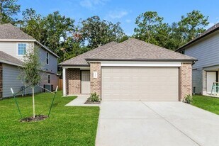 13508 White Ibis St in Splendora, TX - Building Photo