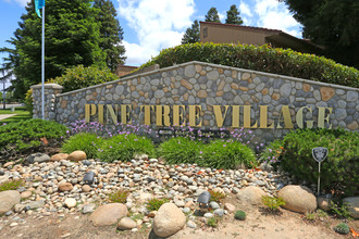 Pine Tree Village Apartments in Fresno, CA - Building Photo - Building Photo