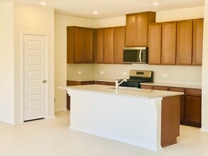 1620 River Plateau Dr in Georgetown, TX - Building Photo - Building Photo