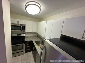 175 Freeman St, Unit 412 in Brookline, MA - Building Photo